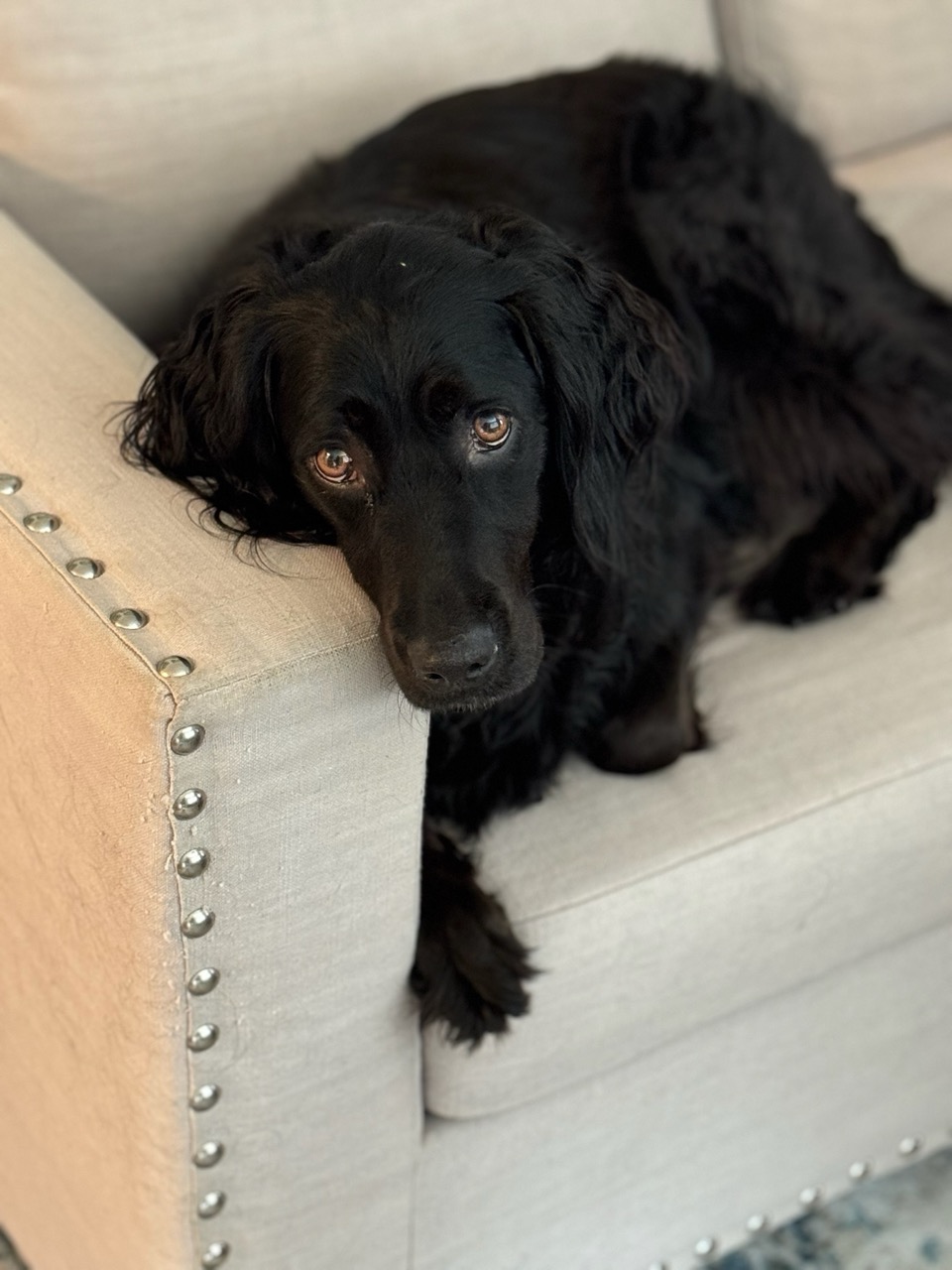 Model shot