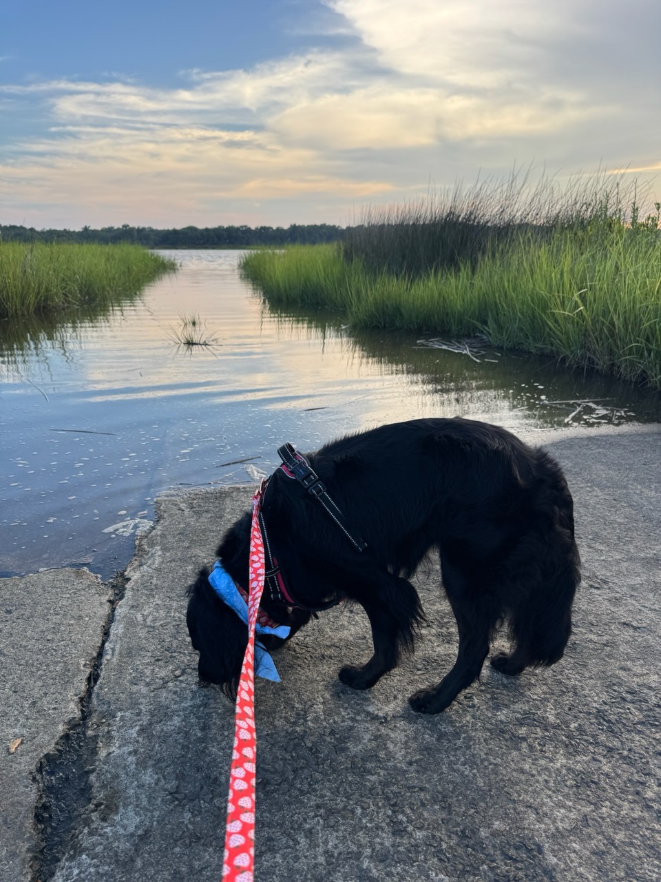 my favrit spot when we go walkin!